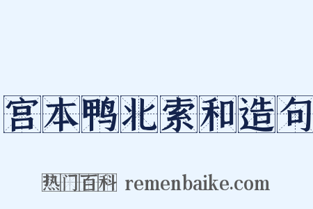 宫本鸭北索和造句是什么意思的图片